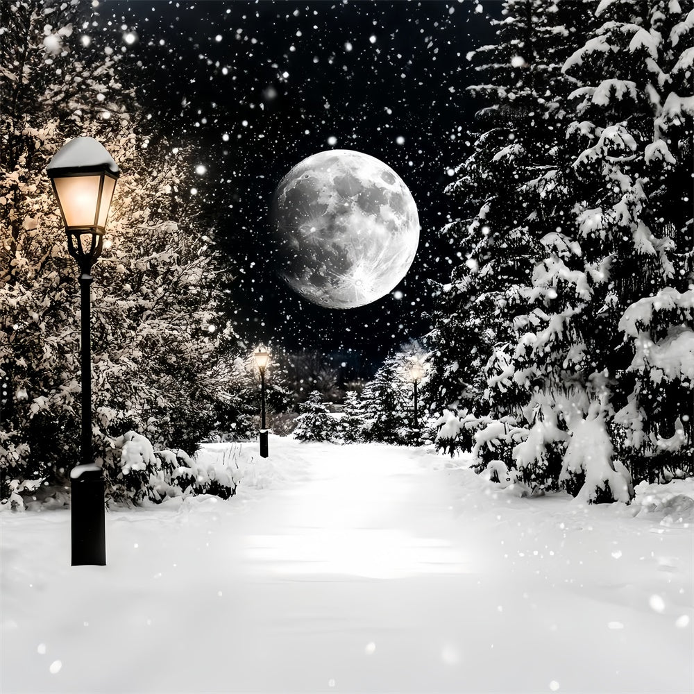 Toile de fond Hiver Sentier de Neige Nocturne CSH57-223
