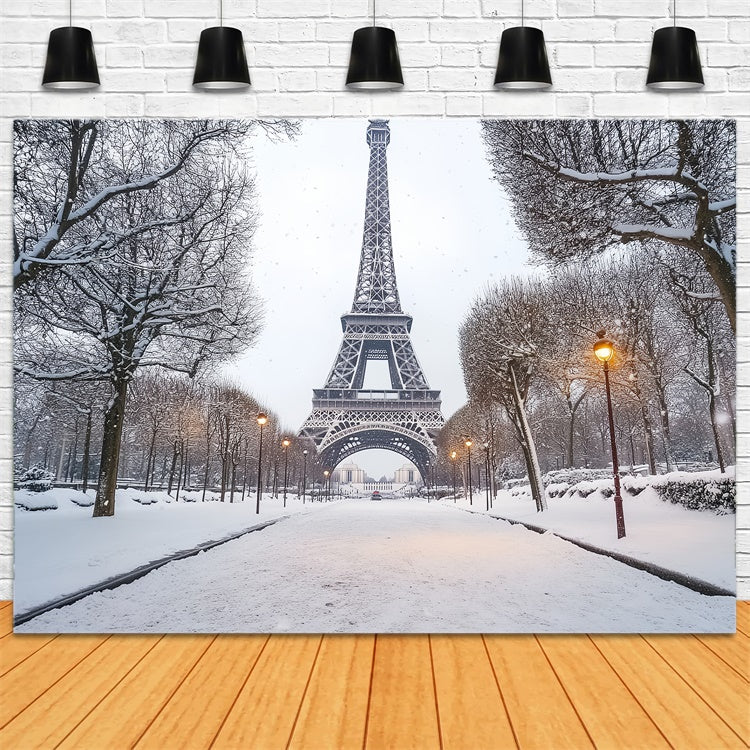 Toile de fond Hiver Élégance Hivernale de la Tour Eiffel CSH57-230