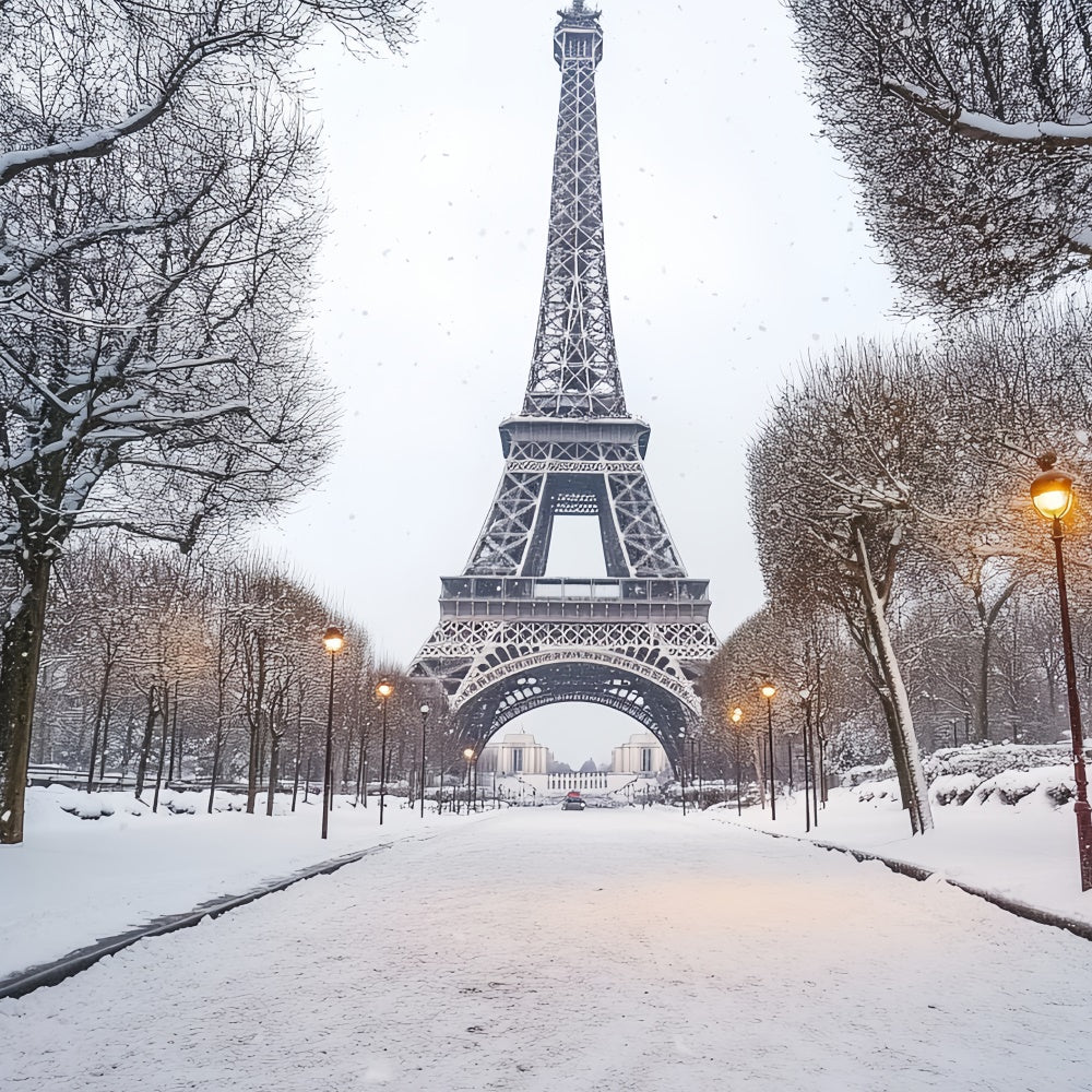 Toile de fond Hiver Élégance Hivernale de la Tour Eiffel CSH57-230