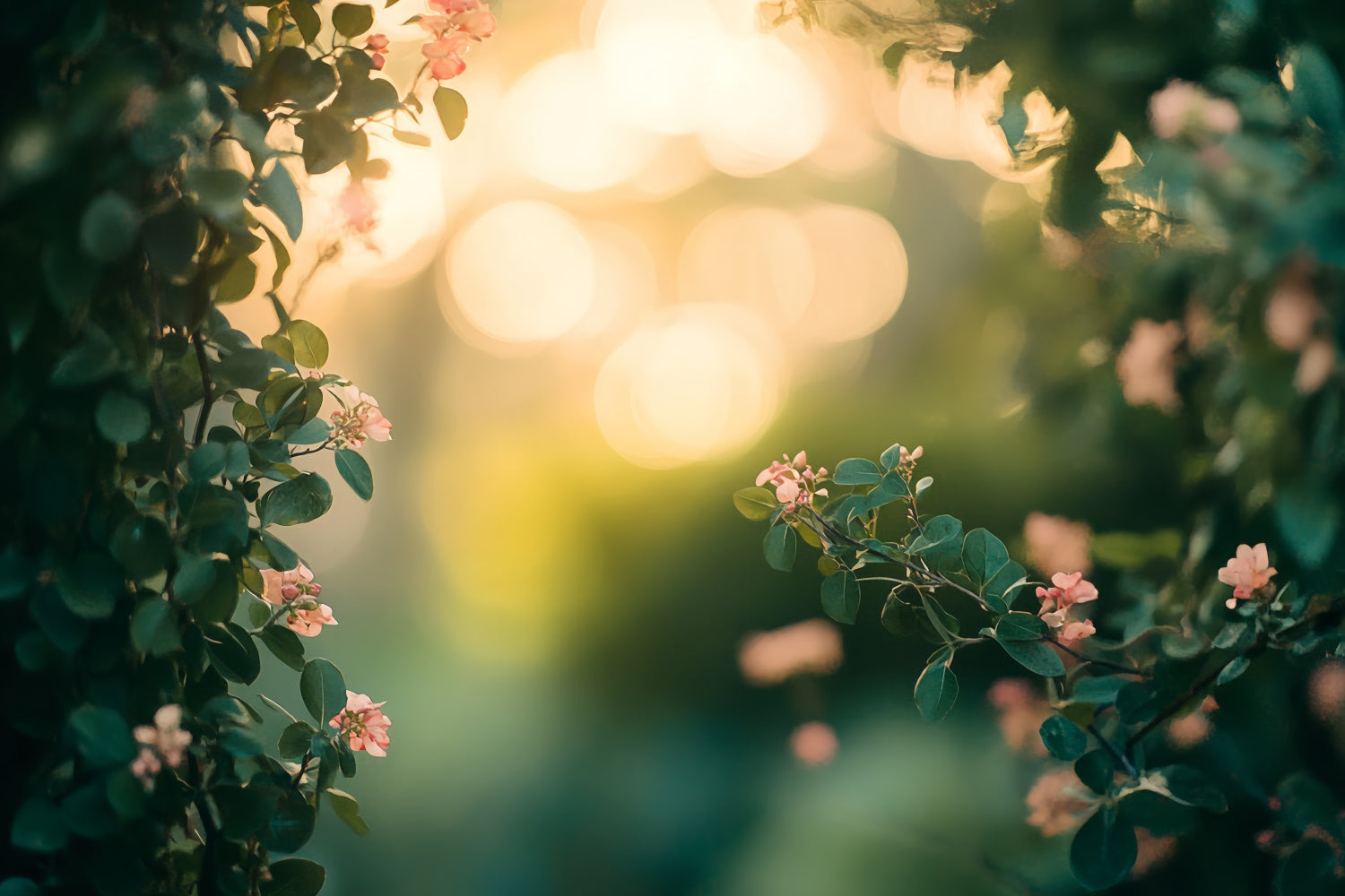 Toile de Fond Photo de Tête Jardin Fleuri au Coucher du Soleil CSH57-3