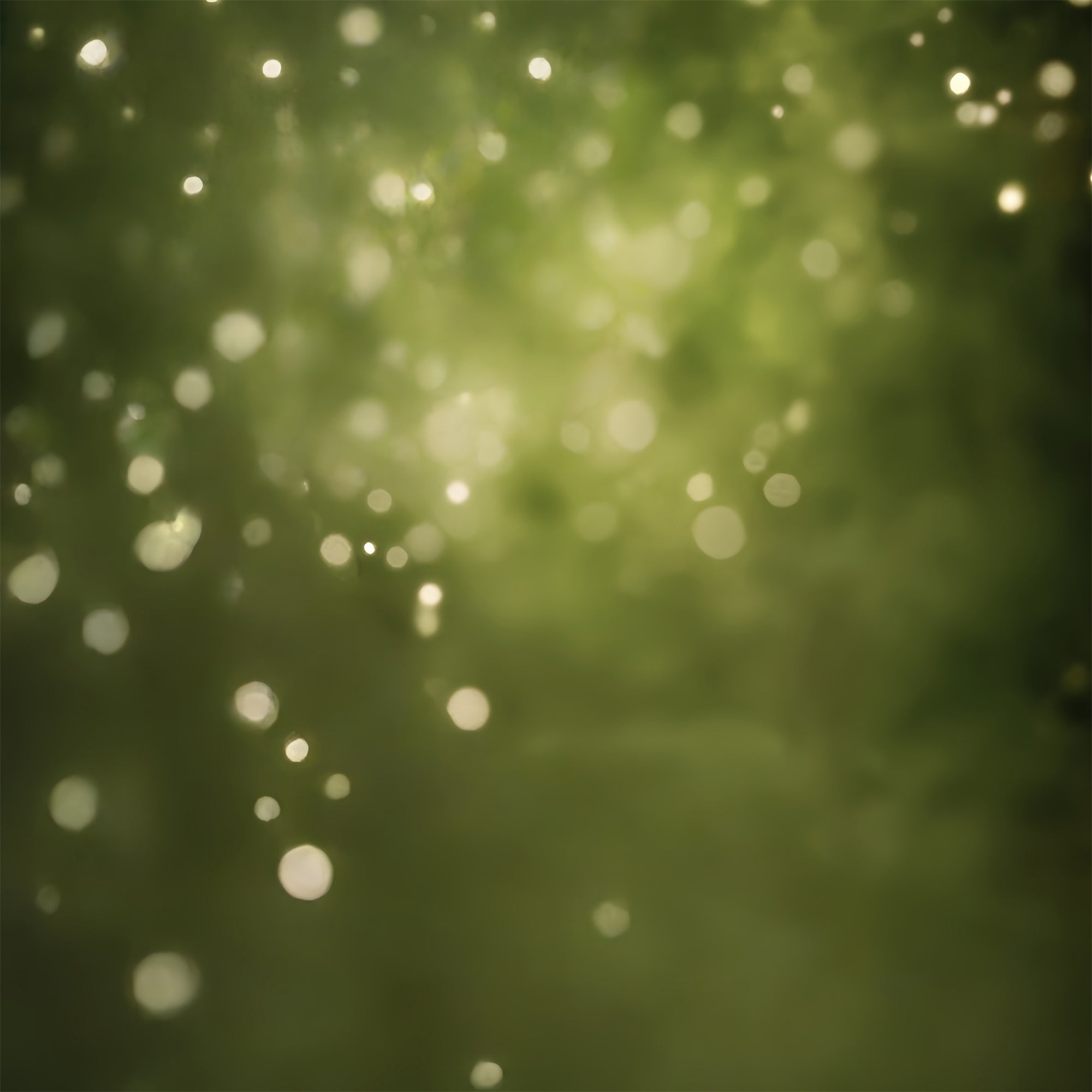 Toile de Fond Verte Olive Brume Forestière Bokeh CSH57-30