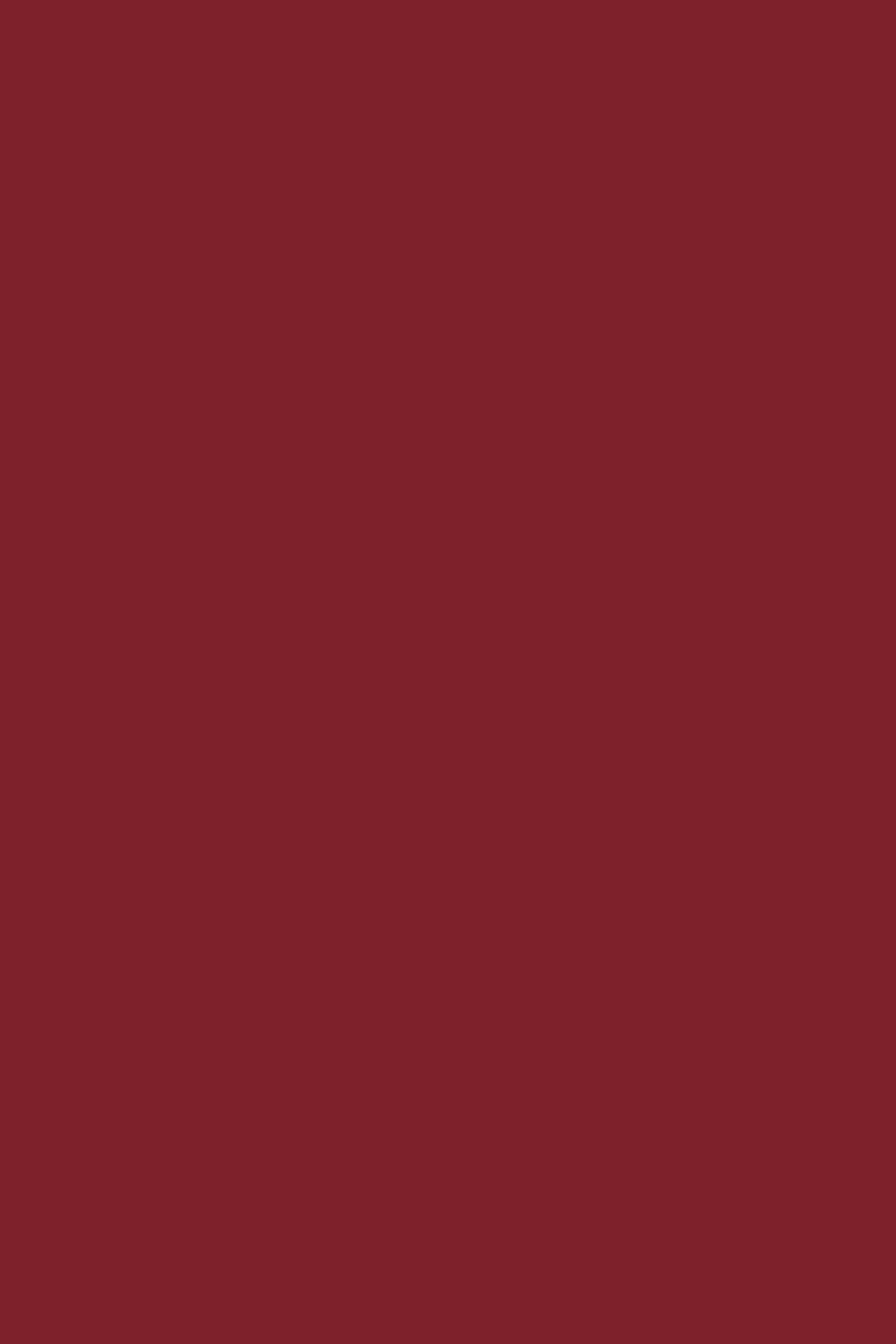 Toile de fond Photo Rouge Voile Velours Bourgogne CSH57-336