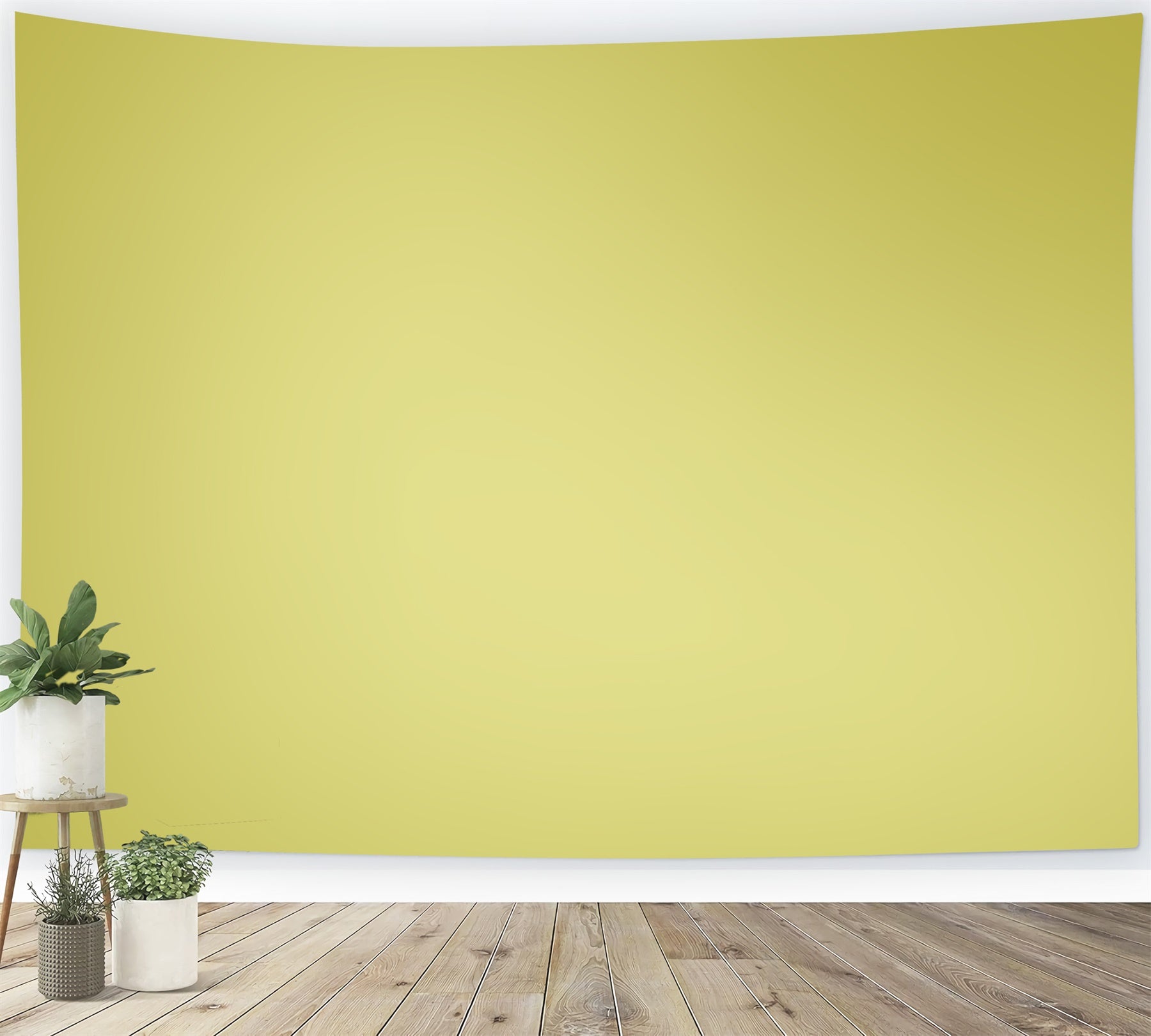 Toile de Fond Photo Verte Brume Citronnée Studio CSH57-37