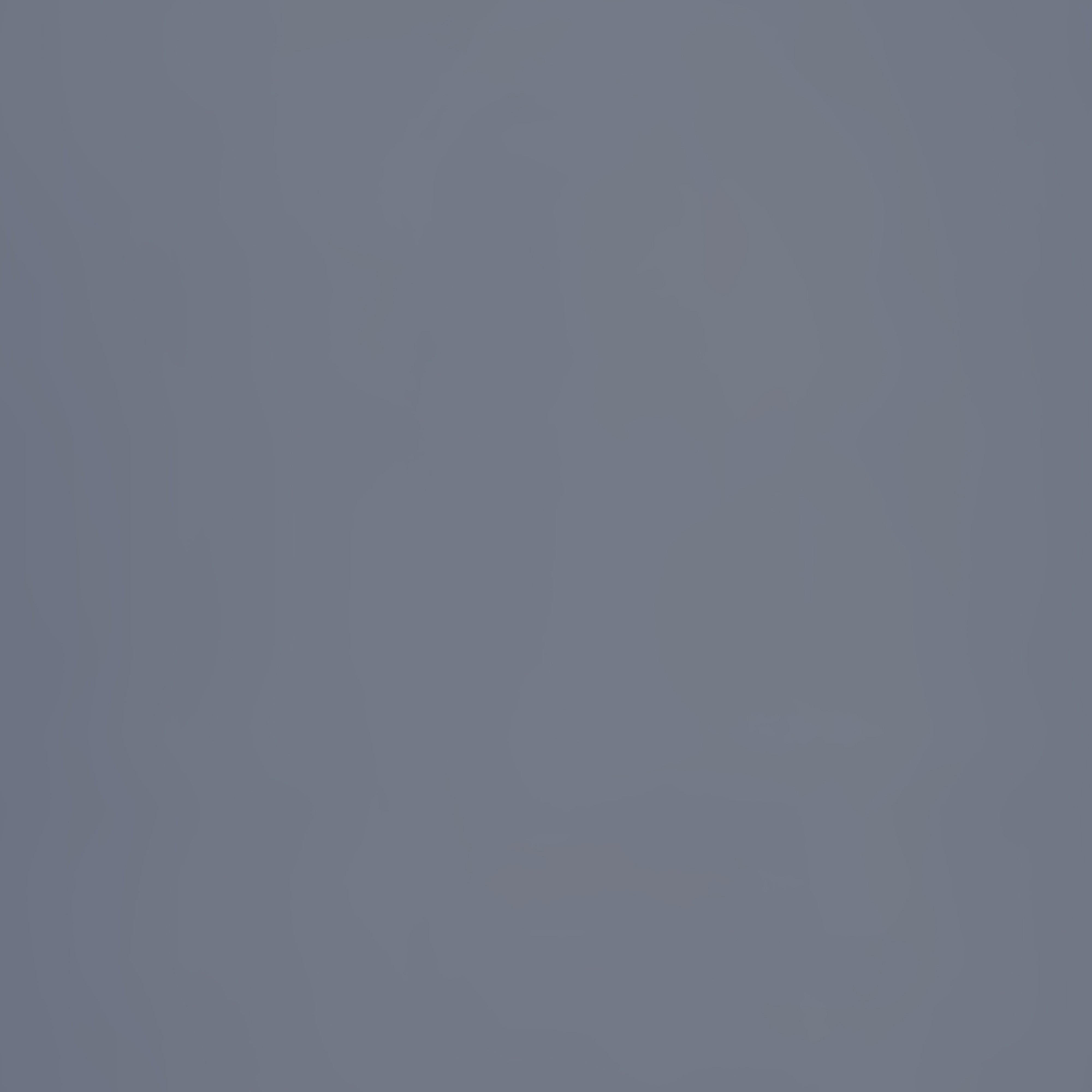 Toile de Fond Photographie Grise Calme Brume Grise CSH57-43