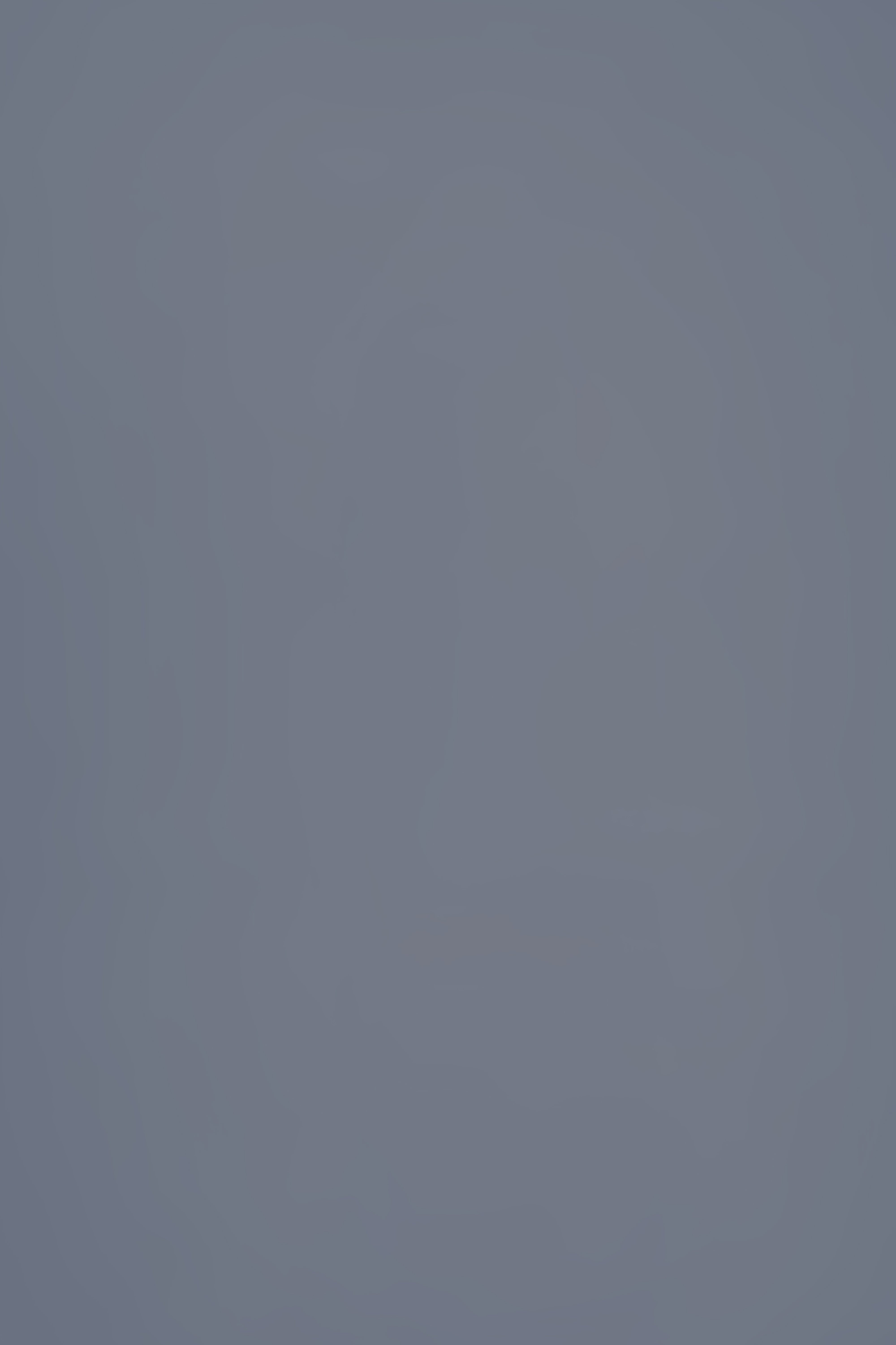Toile de Fond Photographie Grise Calme Brume Grise CSH57-43