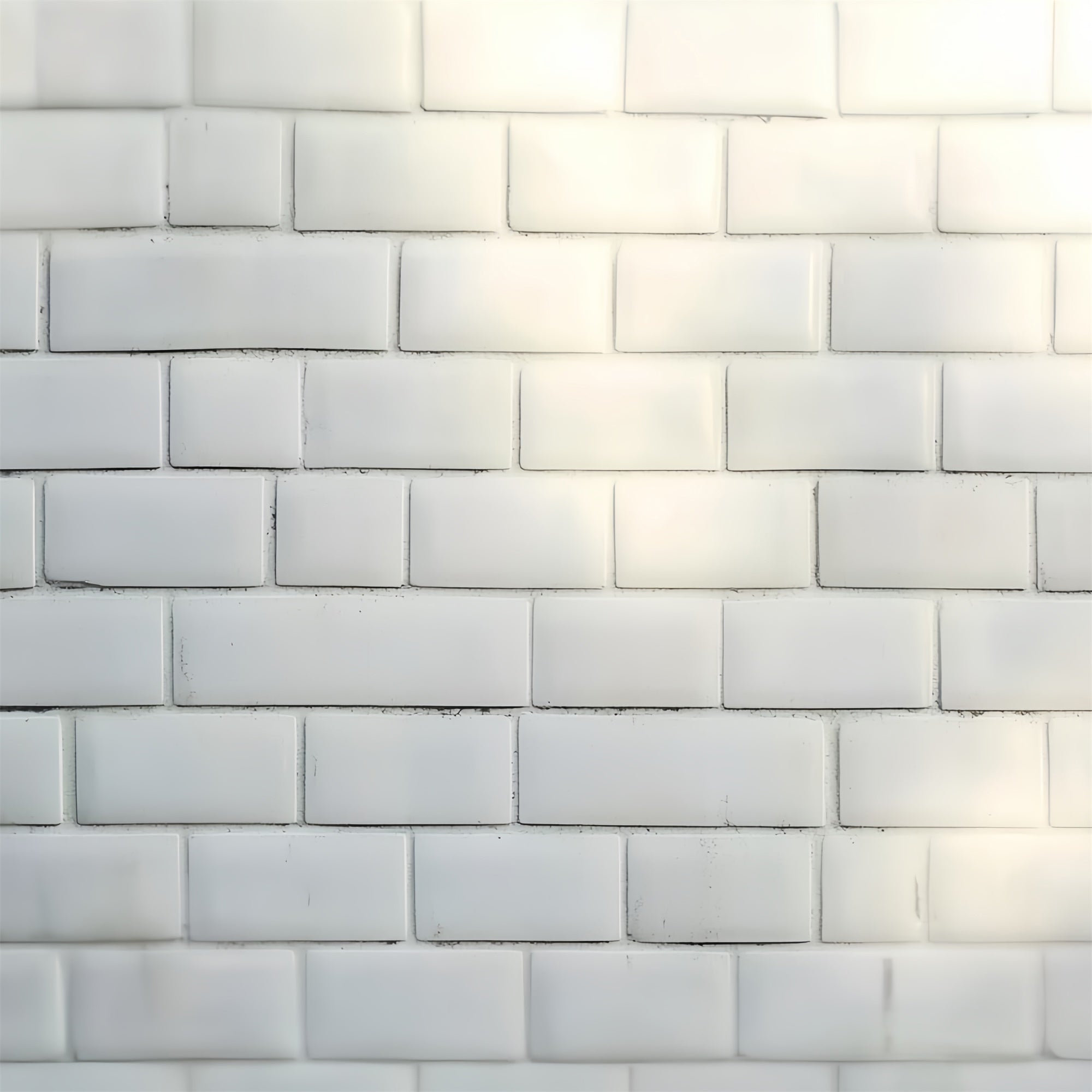 Toile de Fond Mur Brique Blanche Brique Mate Minimaliste Photo de Tête CSH57-6