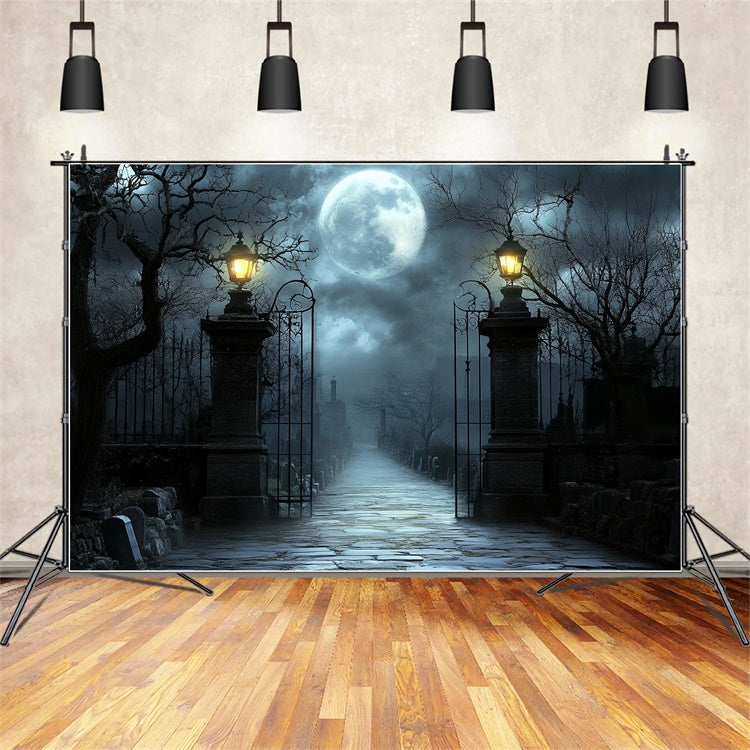 Toile de fond Photo Halloween Portail Cimetière Clair Lune CSH57-63