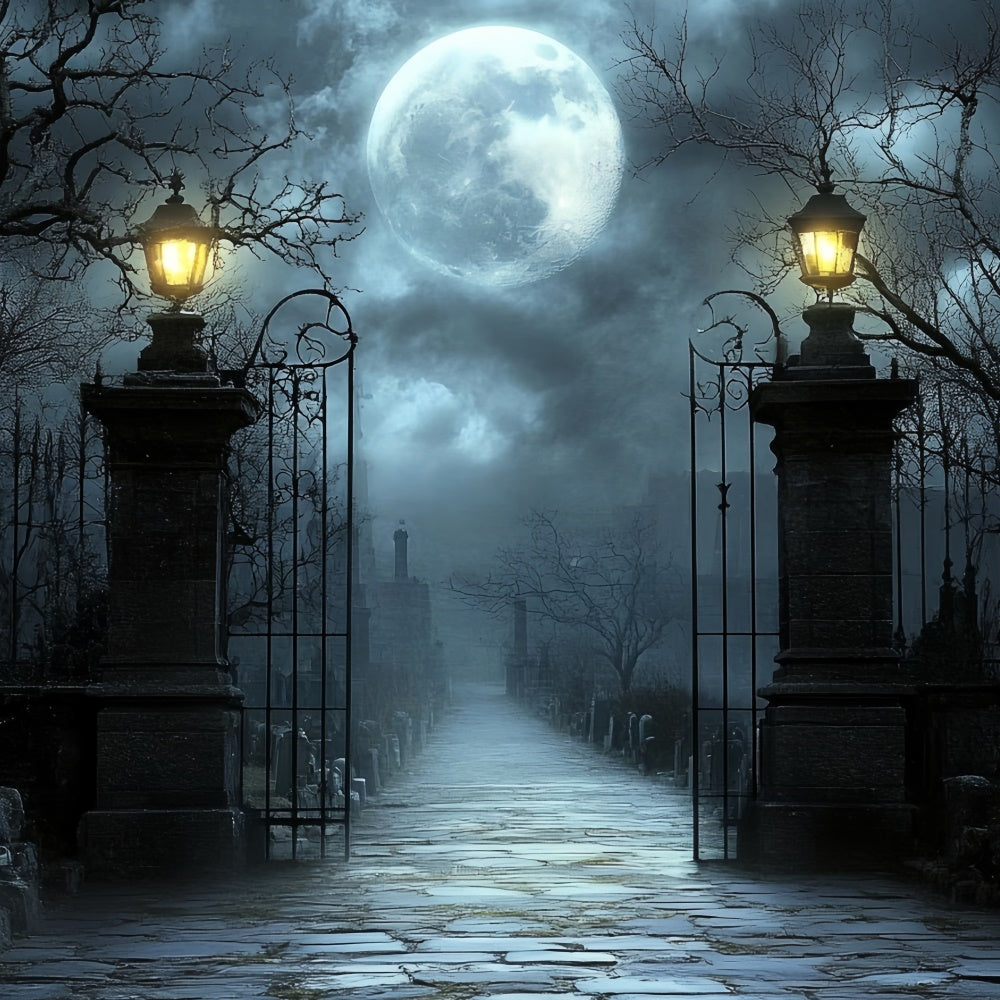 Toile de fond Photo Halloween Portail Cimetière Clair Lune CSH57-63