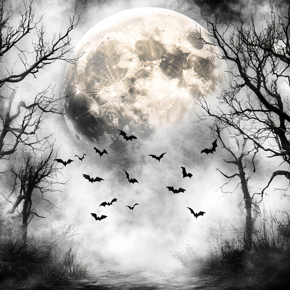 Toile de fond Halloween Vol Nocturne Forêt Lune CSH57-68