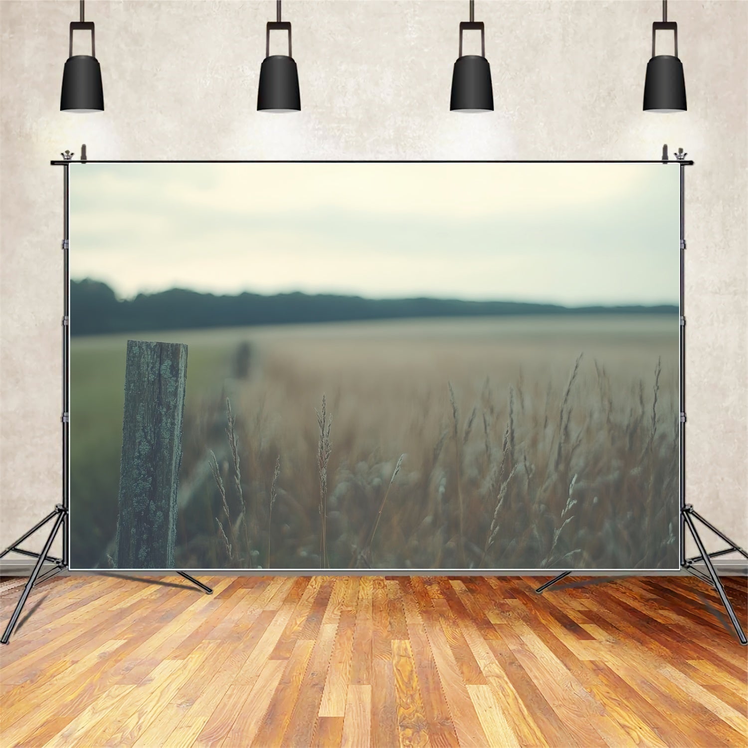 Toile de Fond Photo de Tête Prairie Rustique Silencieuse CSH57-7