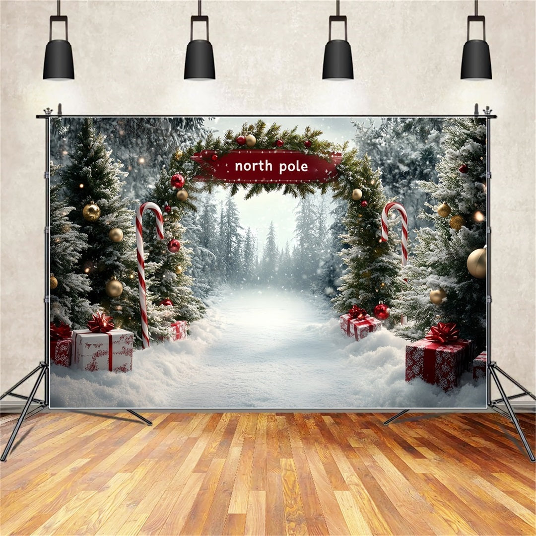 Toile de fond Hiver Pôle Nord Allée Cadeaux Sucre d’Orge CSH58-36