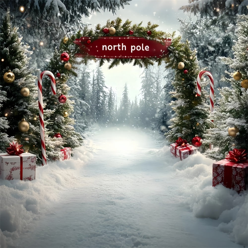 Toile de fond Hiver Pôle Nord Allée Cadeaux Sucre d’Orge CSH58-36