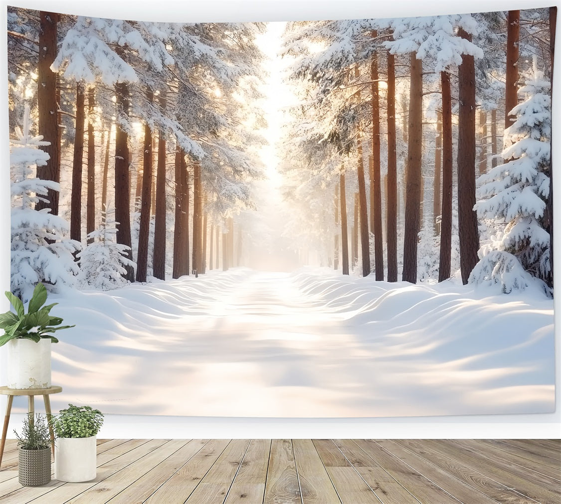 Toile de fond Photo Hiver Forêt Droite Enneigée Contre-jour Soleil Chaleureux CSH58-41