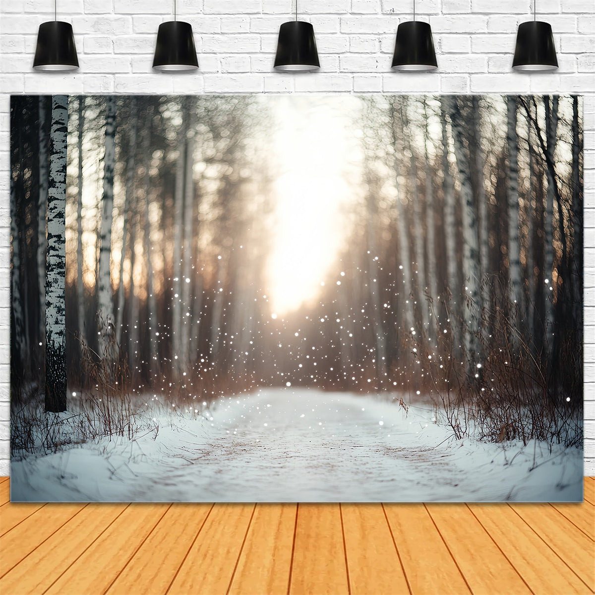 Toile de fond Hiver Chute de Neige Forêt de Bouleaux Contre-jour Flou CSH58-44