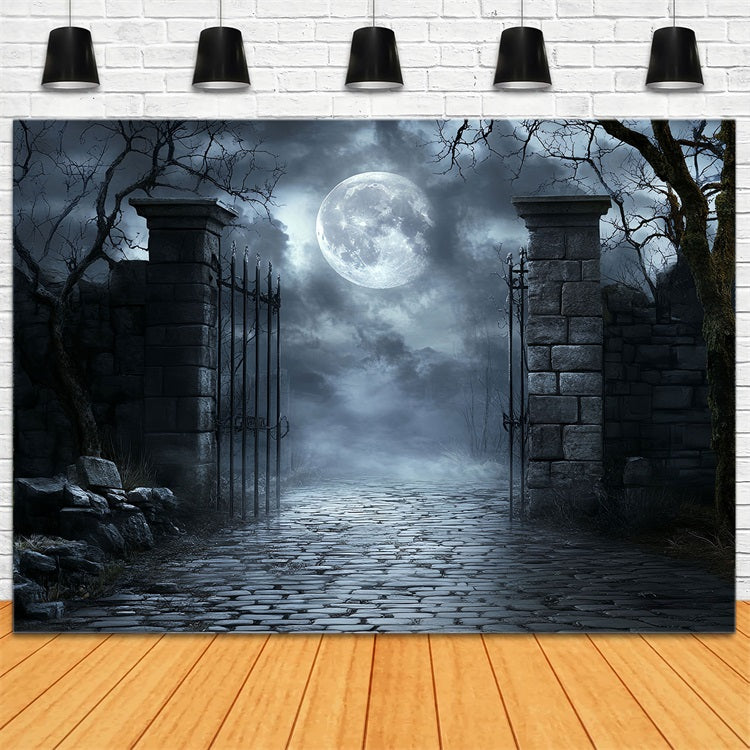Fond De Photo Halloween Cimetière Clair De Lune Grille En Fer Cabine Photo CSH58-71
