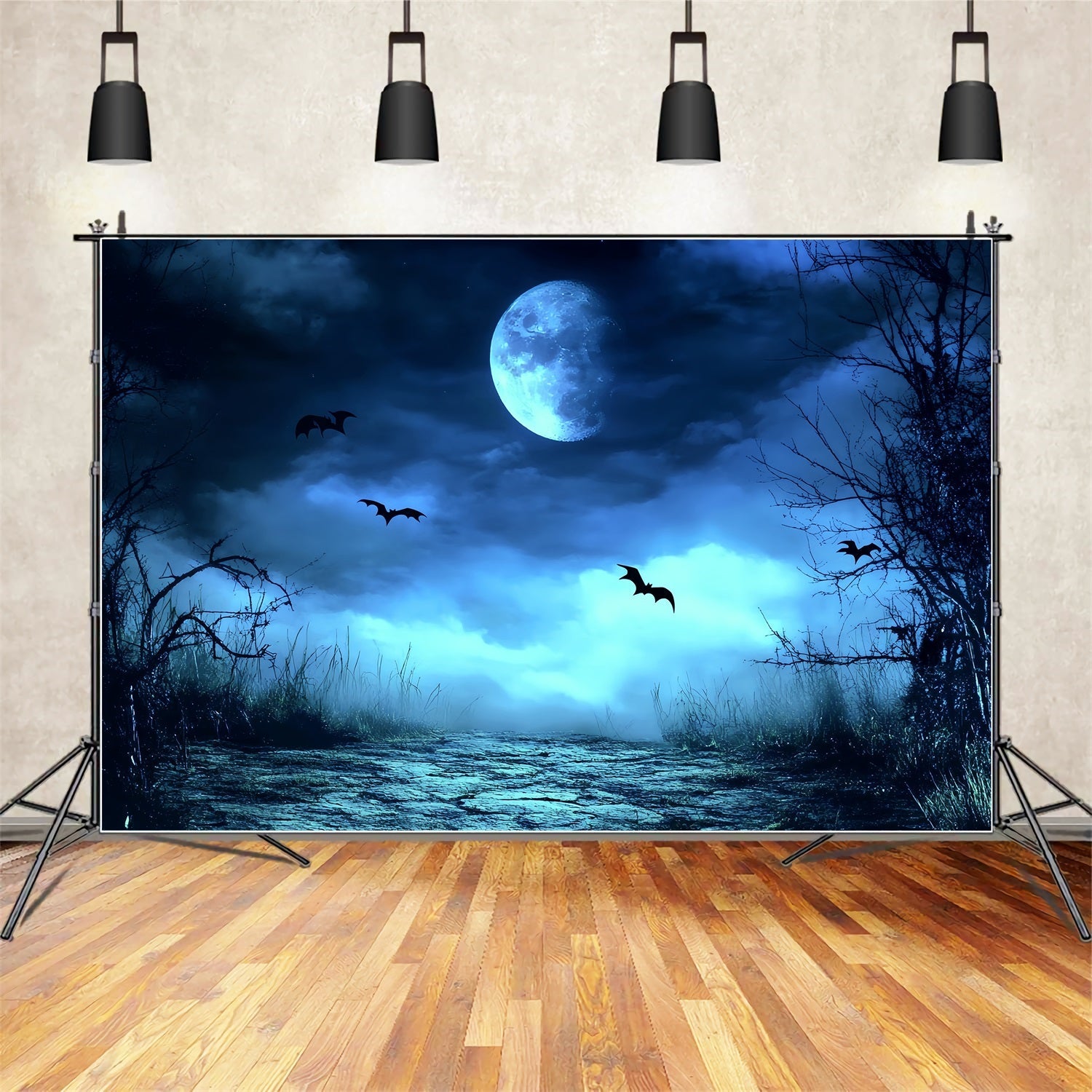 Fond De Photo Halloween Brume Bleue Sentier Effrayant CSH58-83