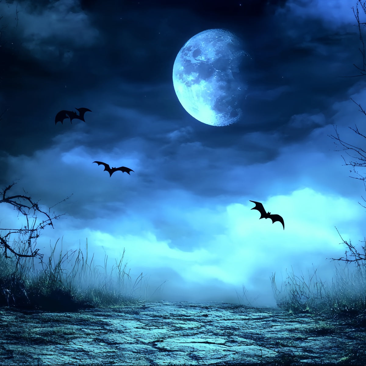 Fond De Photo Halloween Brume Bleue Sentier Effrayant CSH58-83