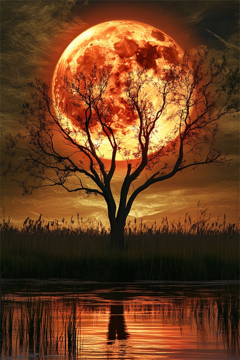 Toile de fond Halloween Lune Lune Pourpre Saule CSH6-112