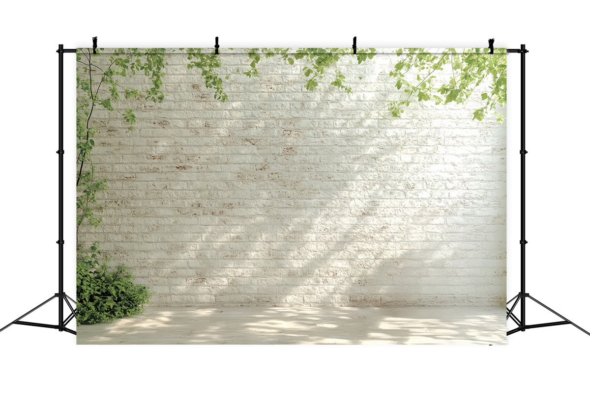 Toile de fond Brique Blanche Mur Blanc Lumière Matinale CSH6-140