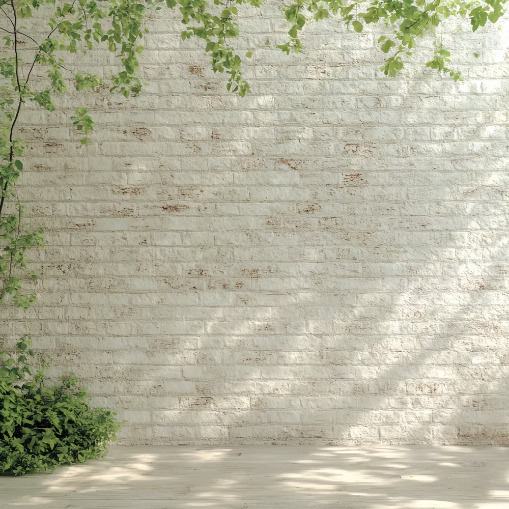 Toile de fond Brique Blanche Mur Blanc Lumière Matinale CSH6-140