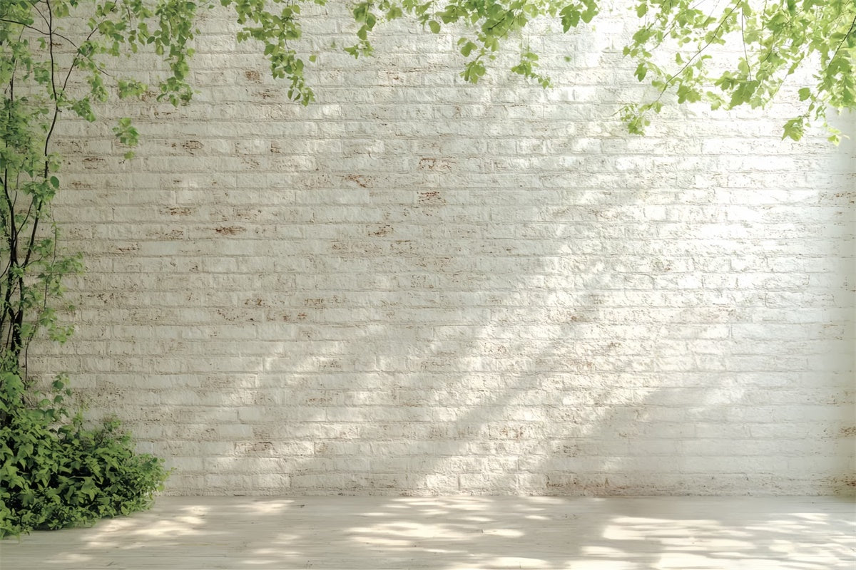 Toile de fond Brique Blanche Mur Blanc Lumière Matinale CSH6-140