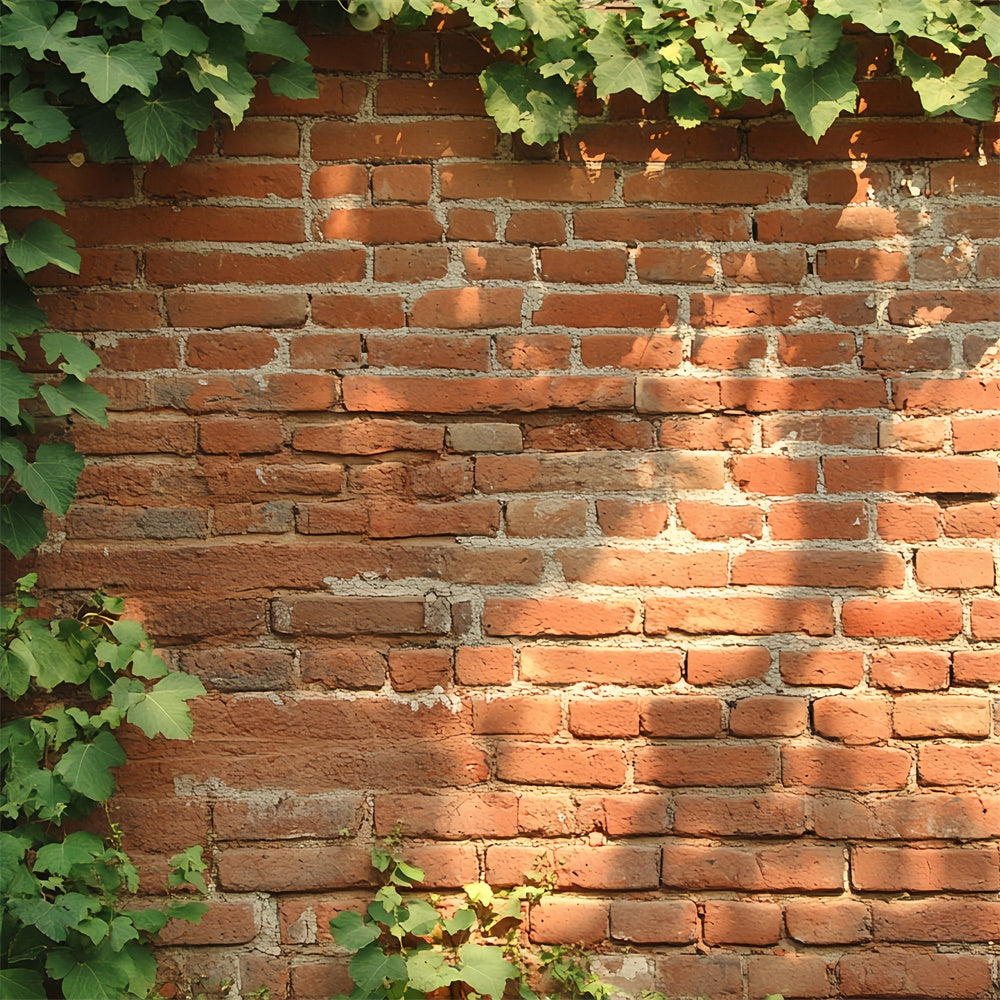 Toile de fond Brique Rouge Texture Mur Rustique au Lierre CSH6-141