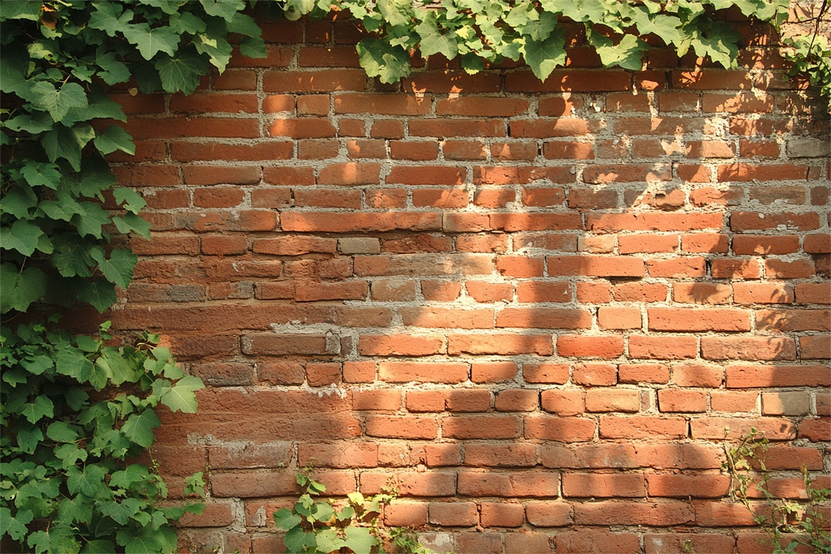 Toile de fond Brique Rouge Texture Mur Rustique au Lierre CSH6-141