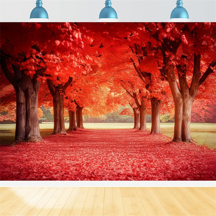 Toile de fond Photo Automne Sentier d’Érables Rouges CSH6-192