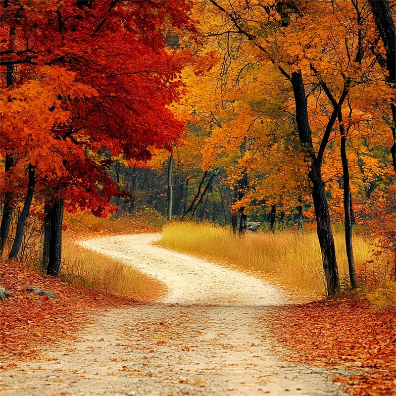 Toile de fond Automne Sentier Rustique dans les Séquoias CSH6-193