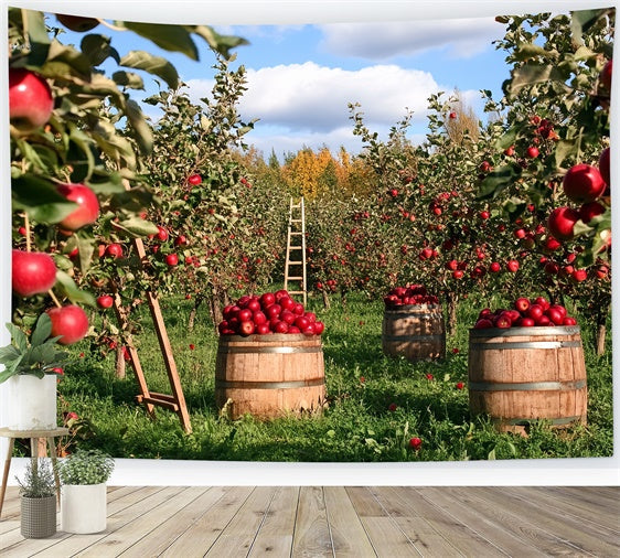 Toile de fond Photo Automne Récolte de Pommes au Verger CSH6-194