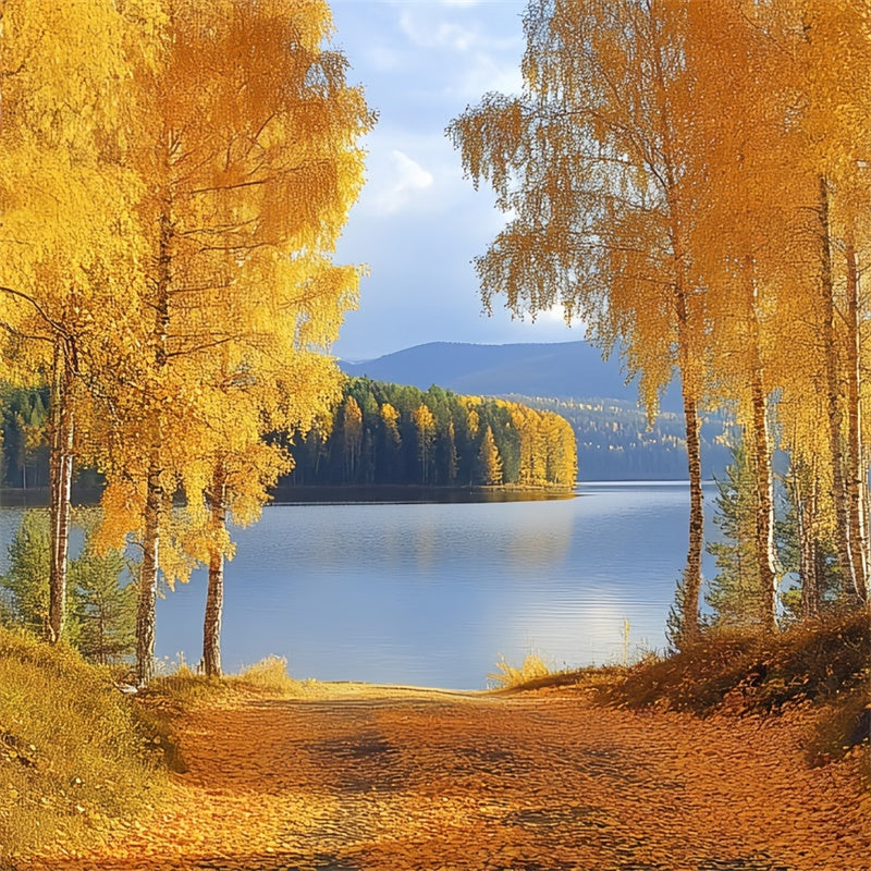 Toile de fond Photo Automne Lac Doré et Bouleaux CSH6-221