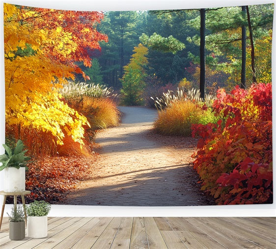 Toile de fond Photo Automne Sentier Doré dans le Bosquet CSH6-226