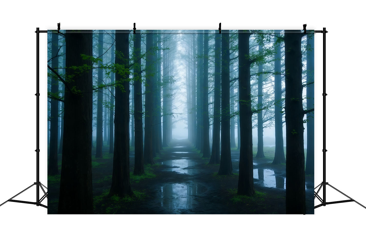 Toile de Fond Forêt Effrayante Couloir Forêtier Bleu Brumeux CSH61-200