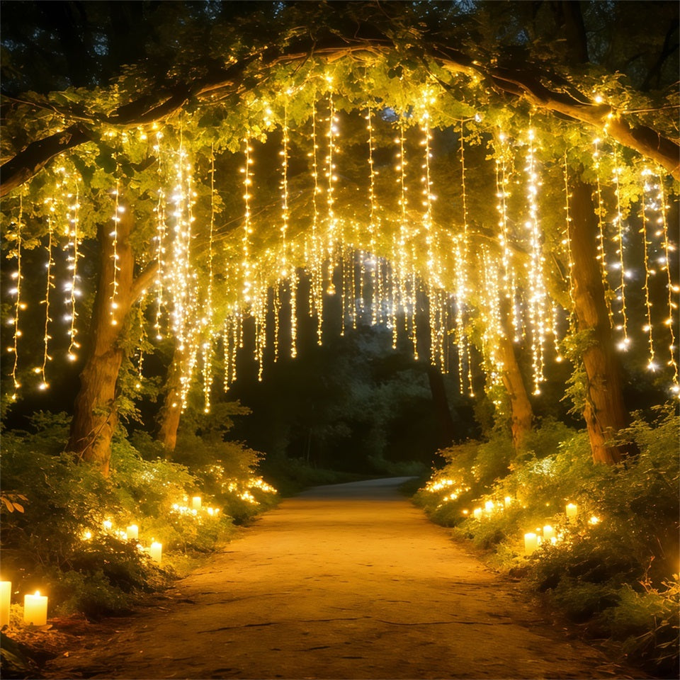 Toile de Fond Forêt Nocturne Rideau Lumière Dorée Sentier Forêt CSH61-217