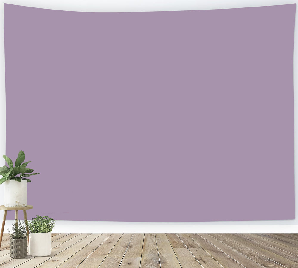 Fond Studio Violet Mauve Poussiéreux Violet Finition Apaisante CSH62-12