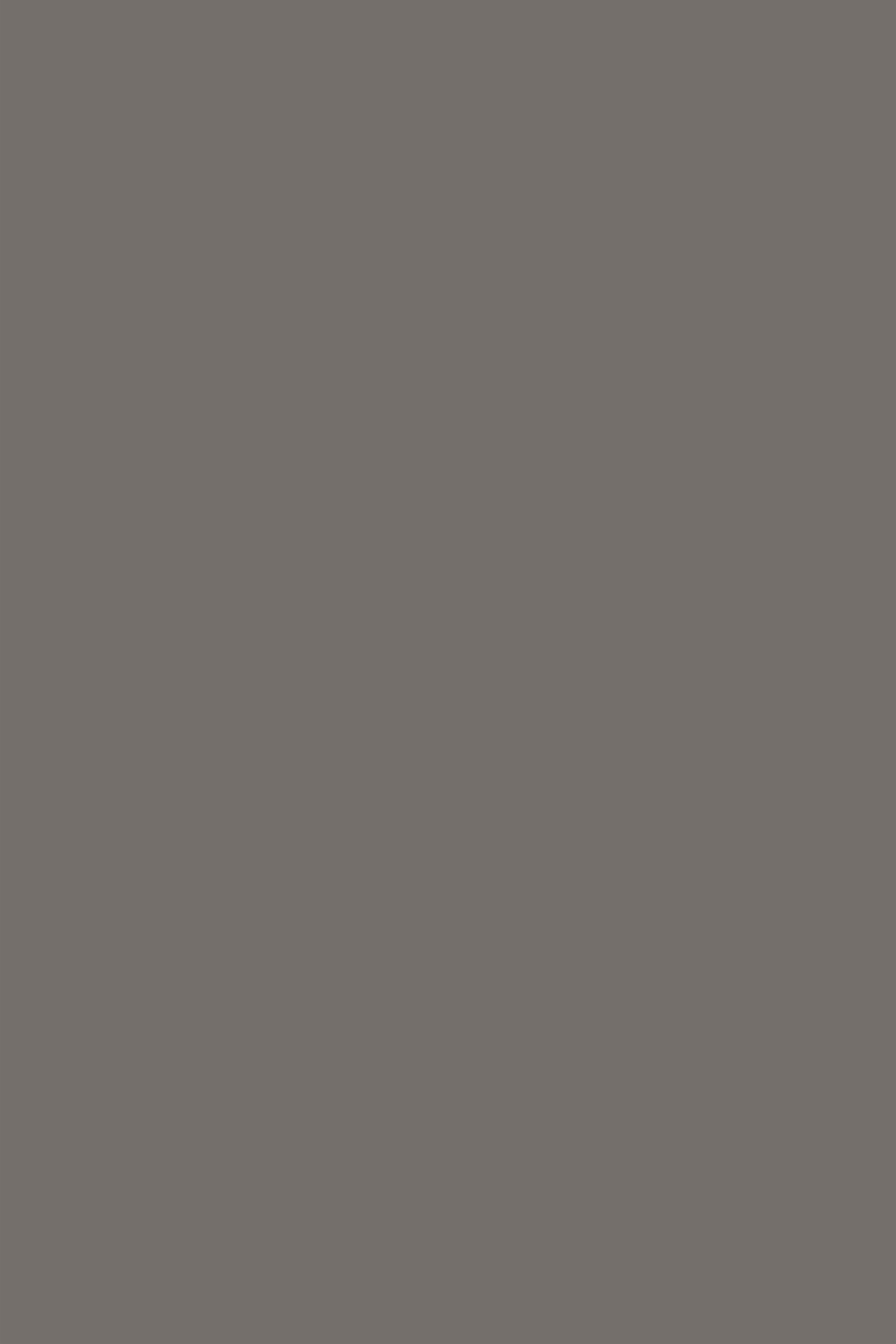 Toile de Fond Gris Gris Charbon Profond Finition Lisse CSH62-14