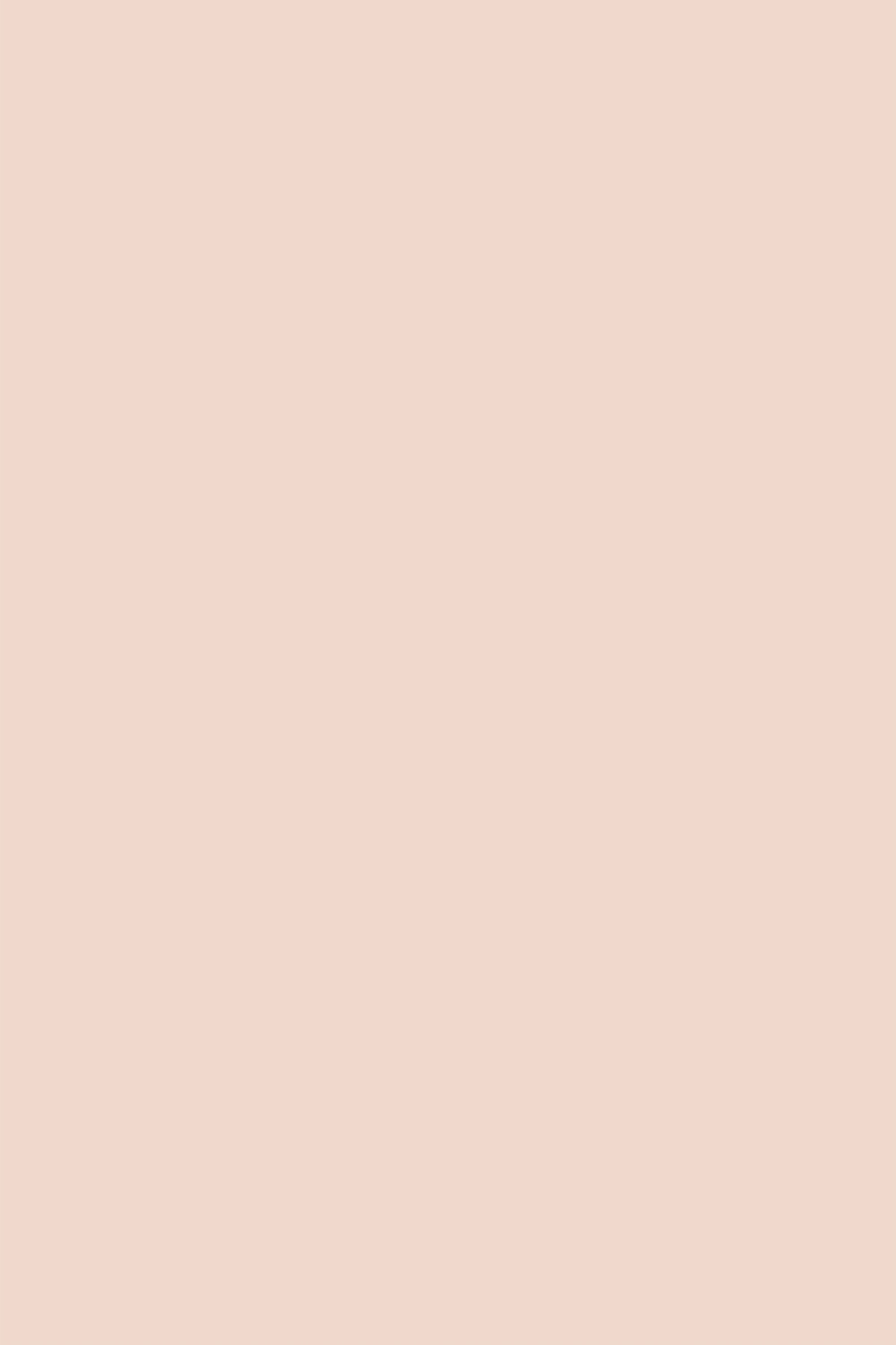 Toile de Fond Pêche Pastel Pêche Blush CSH62-4
