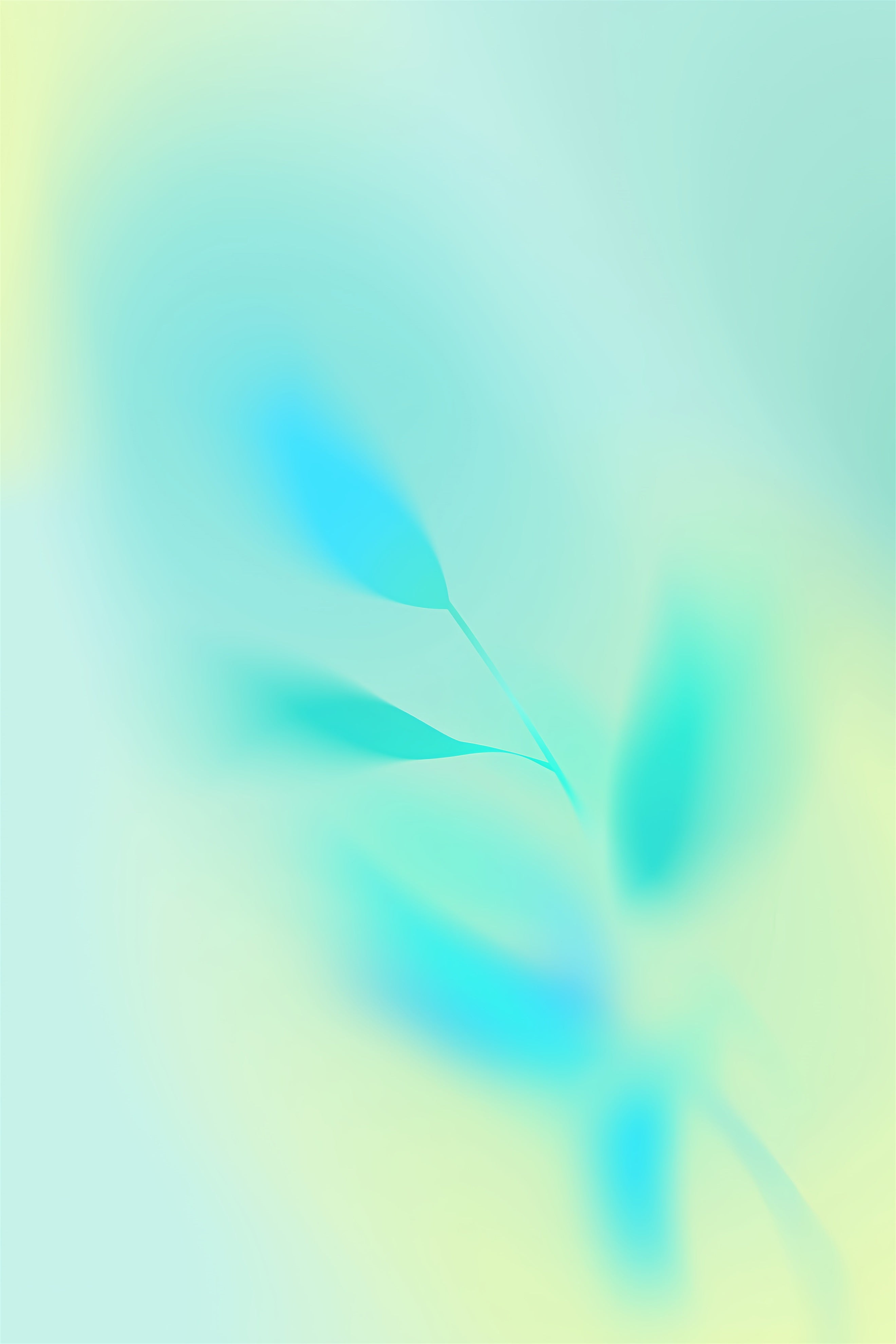 Toile de Fond Dégradée Diffusion Bleu Vert Sarcelle CSH62-44