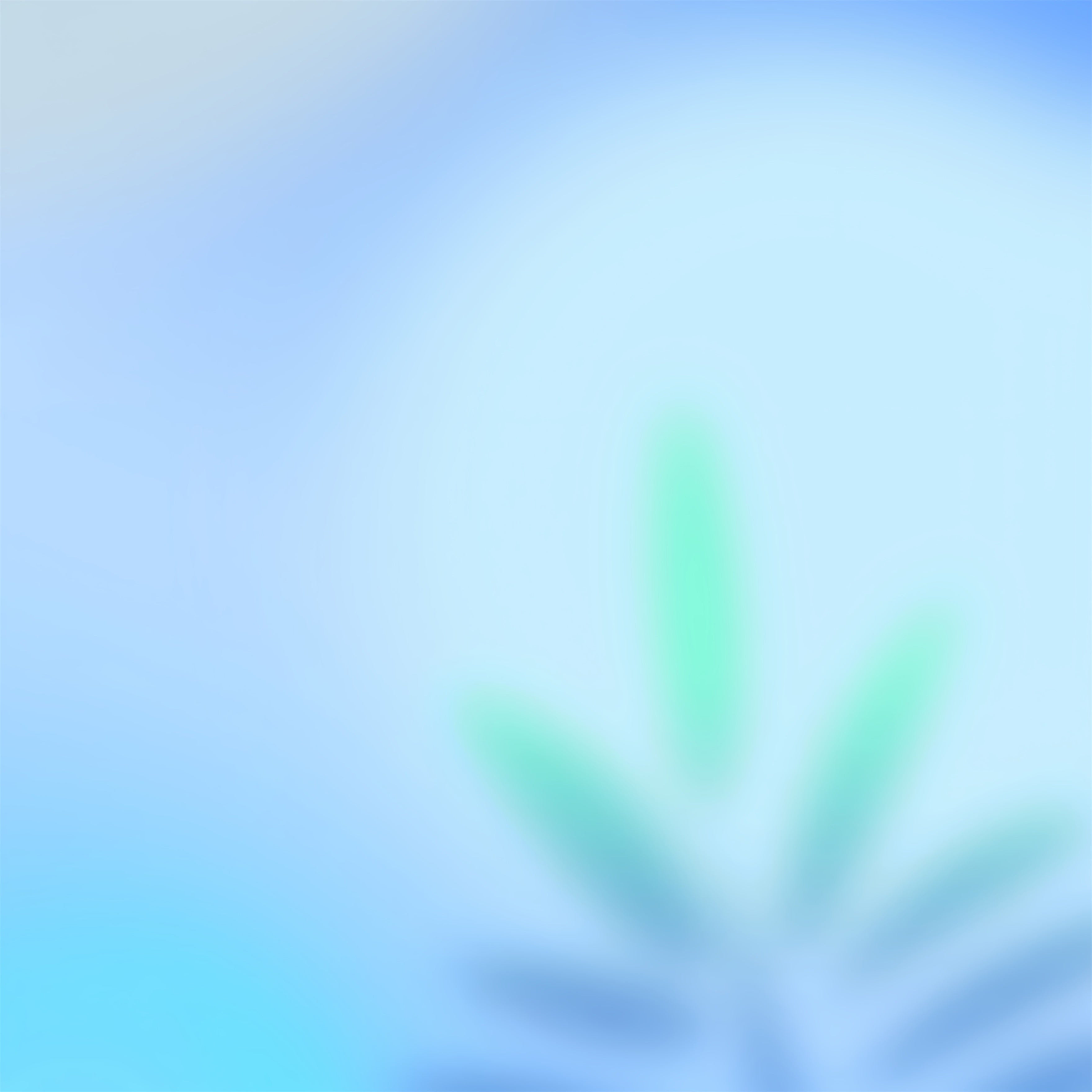 Fond Photo Dégradé Lueur Douce Vert Palmier Bleu CSH62-45