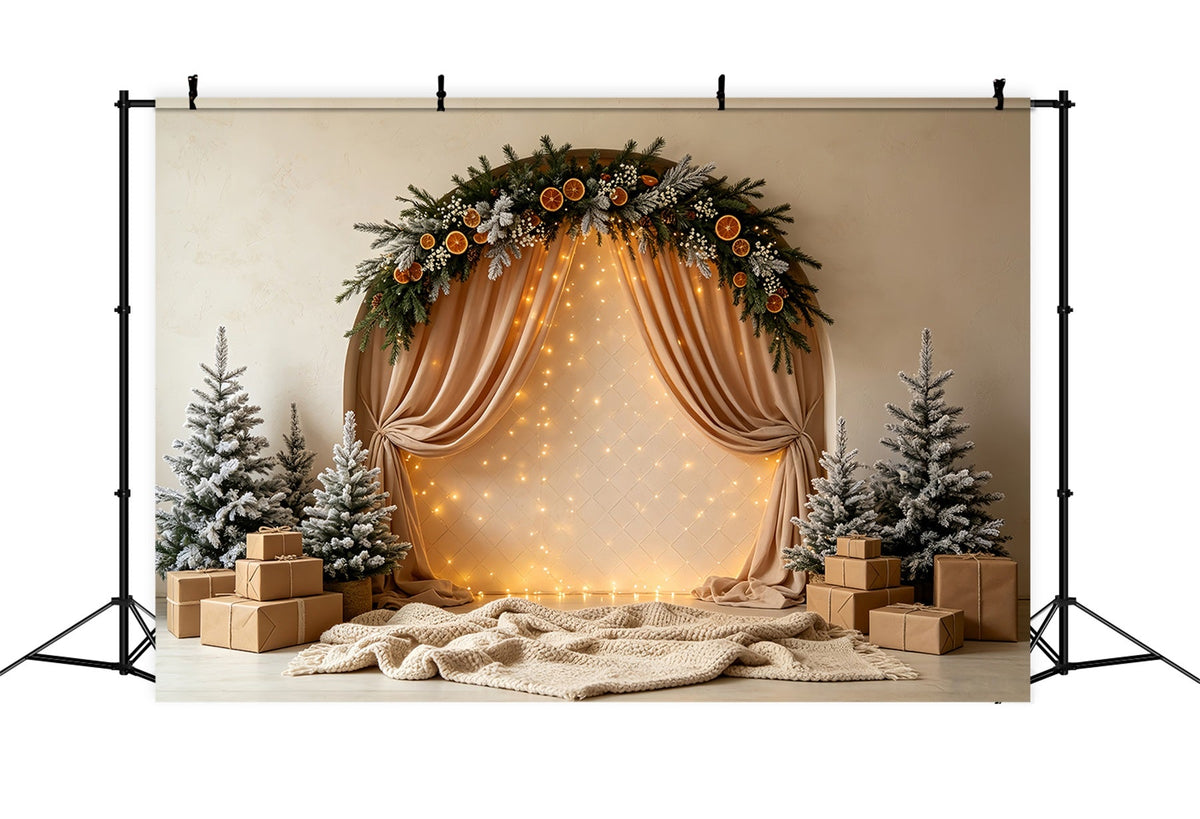 Fond De Lumières De Noël Rideau De Guirlande En Arc Givré Décor De Noël CSH68-56