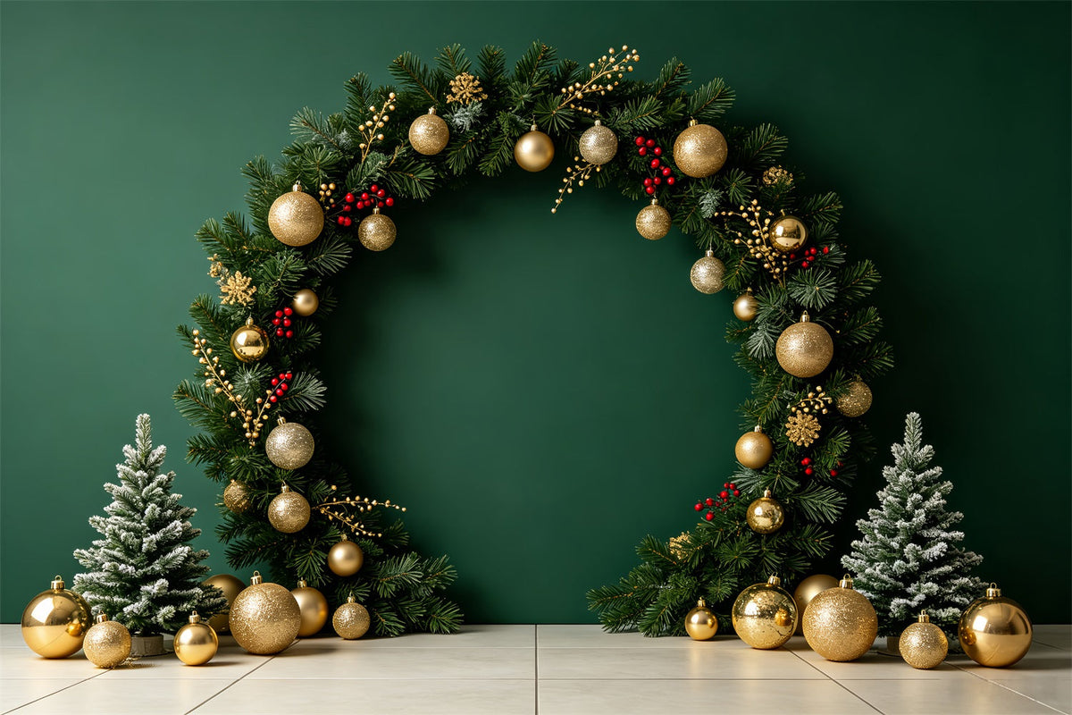 Décors Photo De Noël Arche Décorative Verte Décor De Portrait De Noël CSH69-60