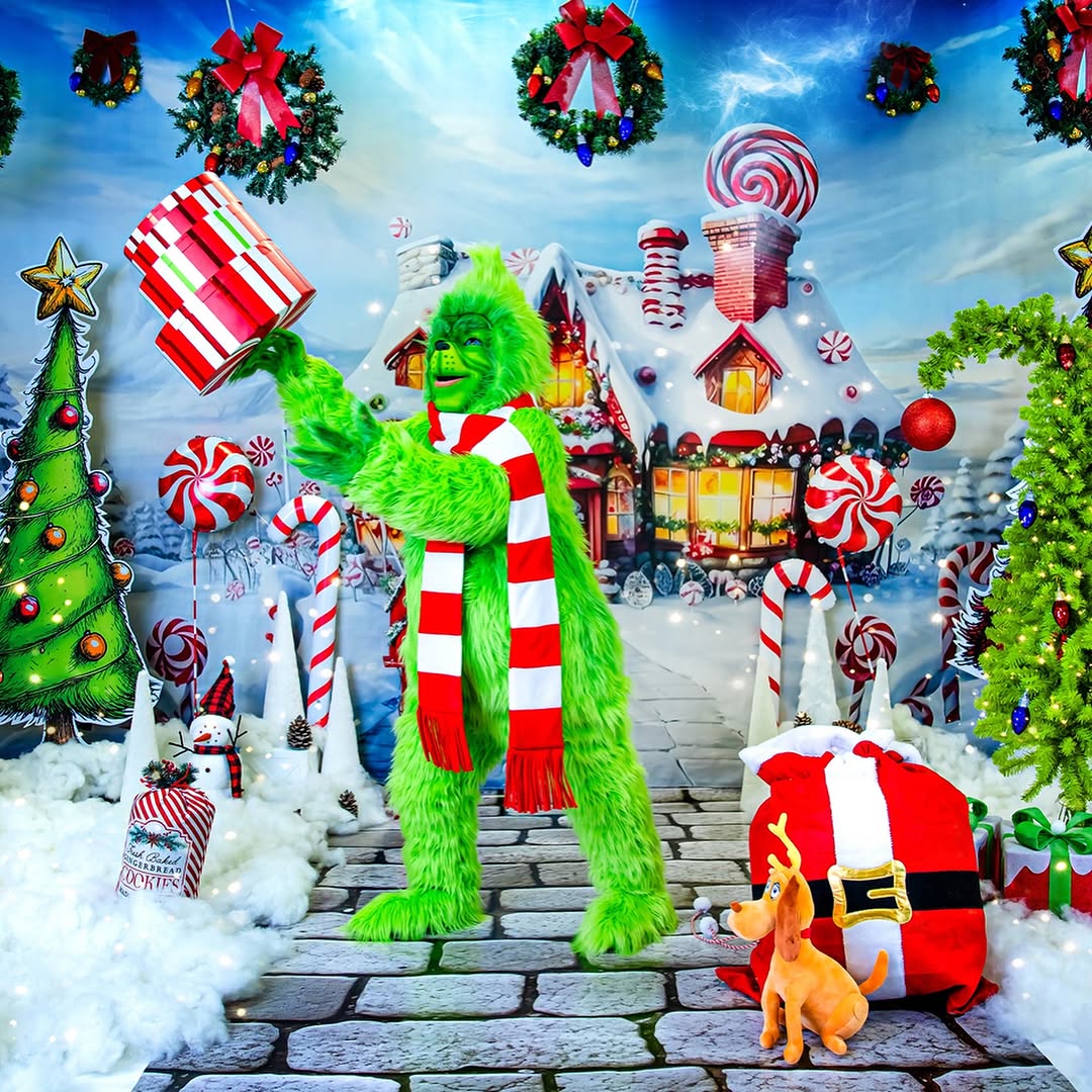 Toile de fond de Maison en Pain d'Épice avec Merveille de Neige RR7-748