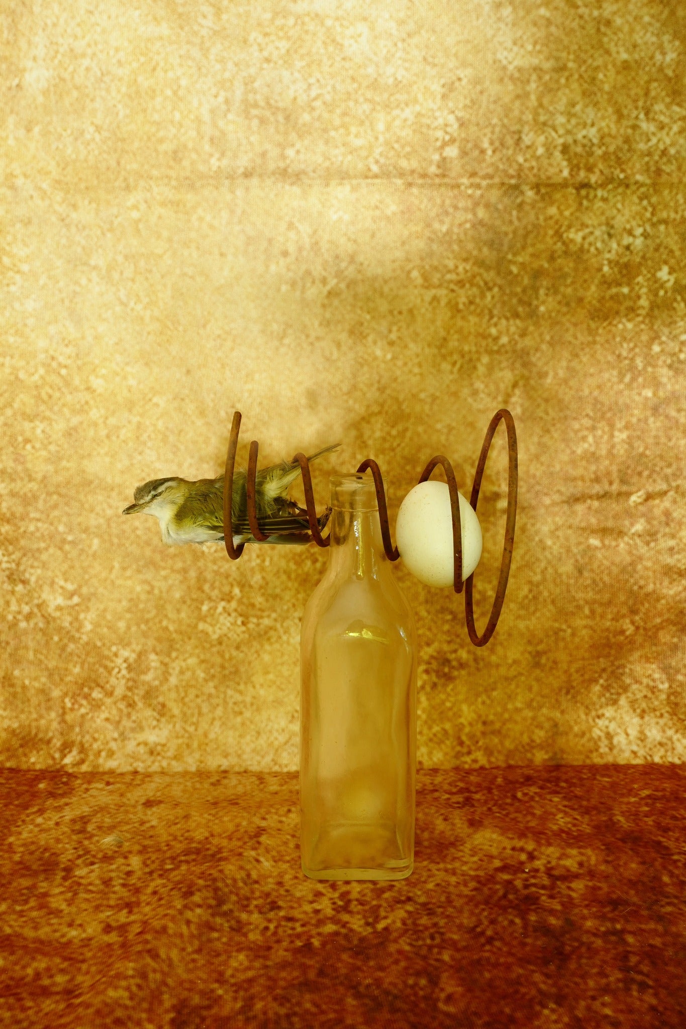 Toile de fond de mur de texture brune abstraite pour la photographie DHP-175