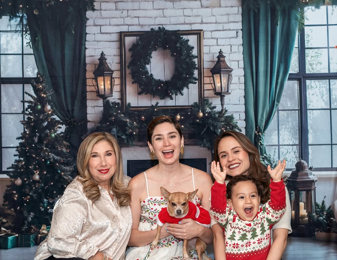 Toile de fond Fenêtre Cheminée Sapins de Noël RR8-120