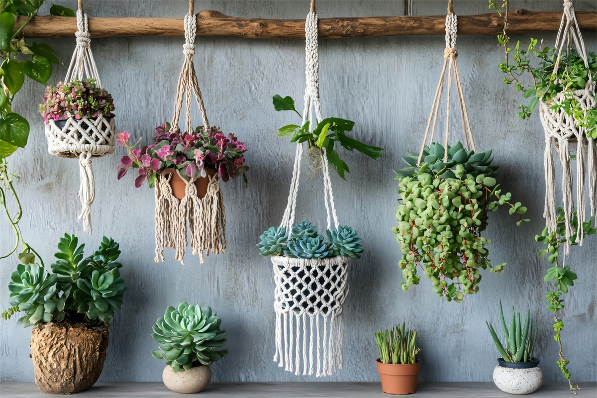 Toile de Fond Photo Boho Macramé Plante Suspendue GQ2-48