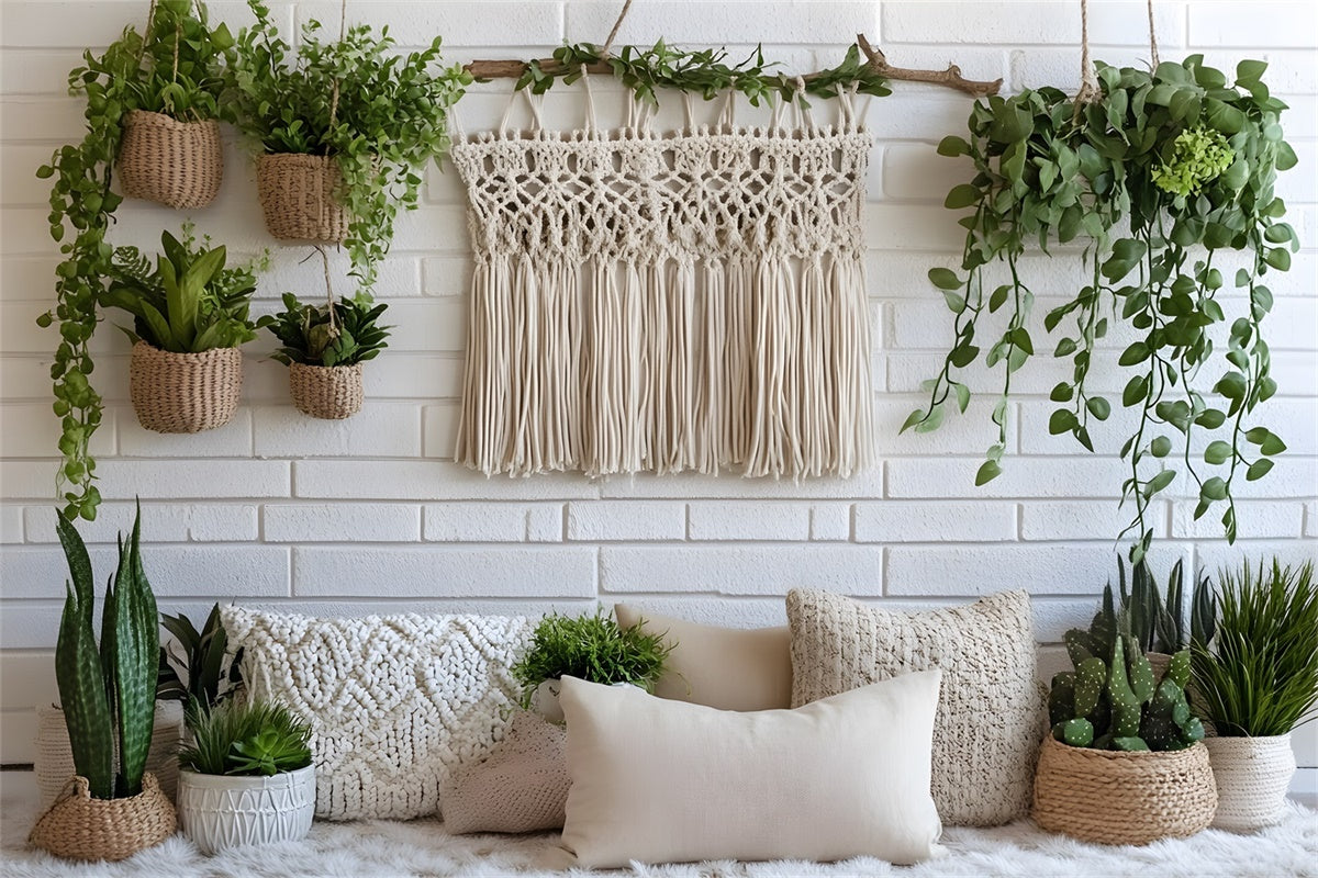 Toile de Fond Boho Décor Macramé Plantes Suspendues GQ2-84