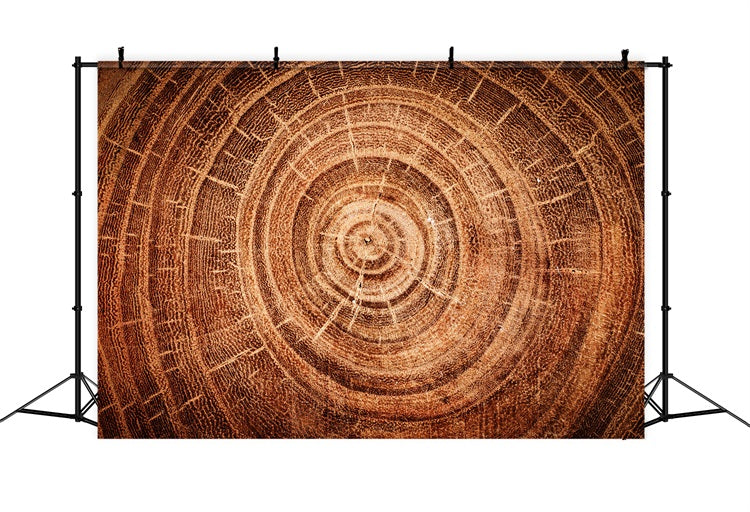 Toile de fond Bois Réel Cernes de Croissance GQ4-132