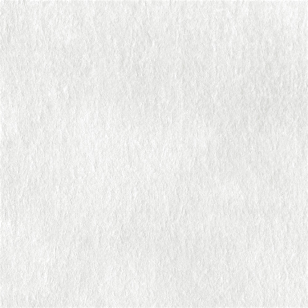 Toile de Fond Photo Blanche Blanc Coquille Texturé GQ4-209