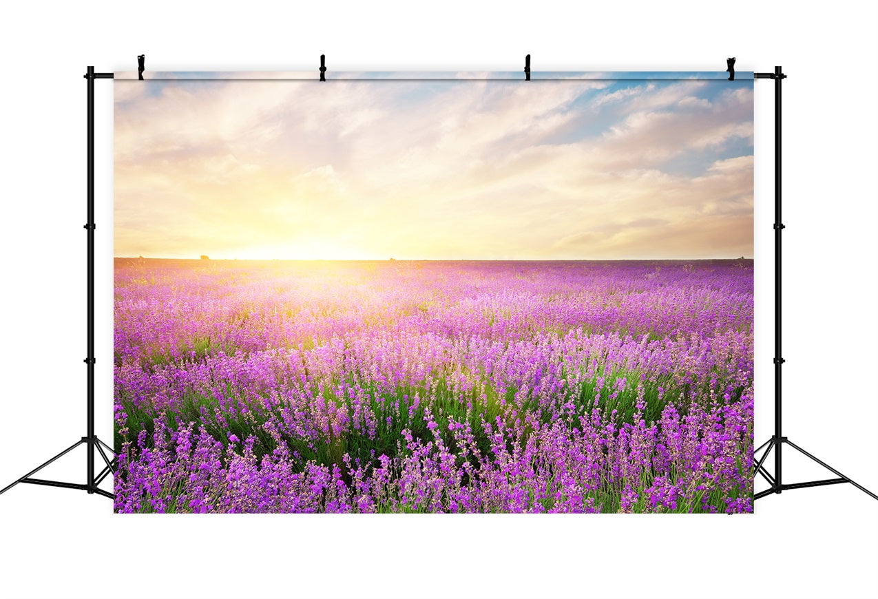 Toile de fond Lavande Éclosion Matinale Florale Photographie GQ4-21