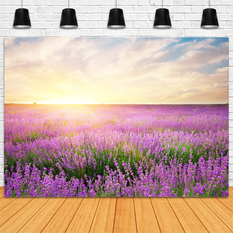 Toile de fond Lavande Éclosion Matinale Florale Photographie GQ4-21